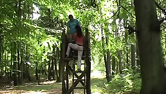 Buitenseks Met Een Rondborstige Jogger In Het Bos